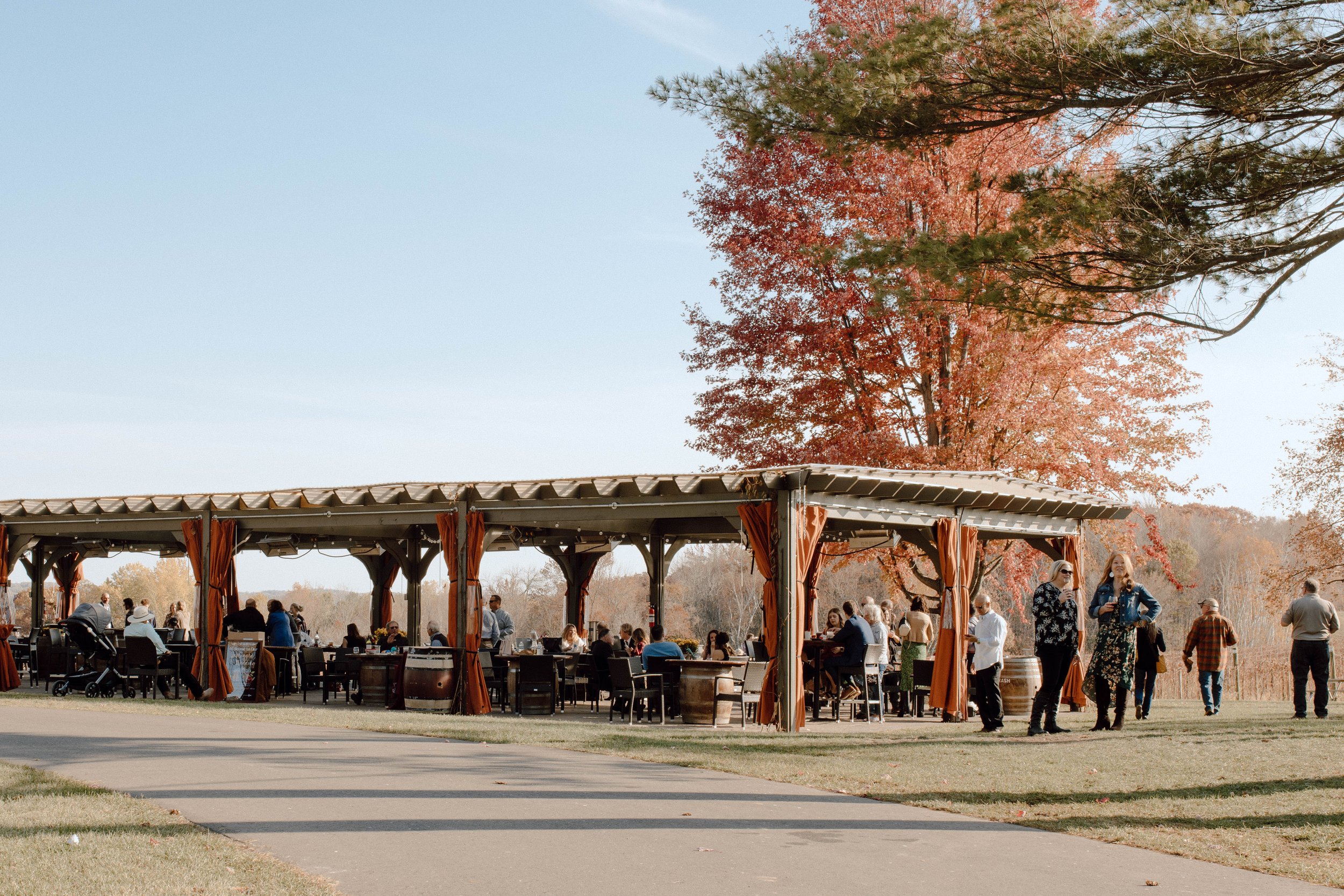 Fall winery pavillion