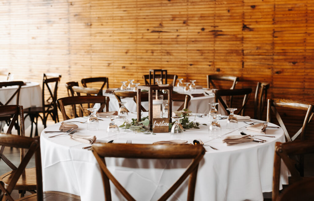 MN engagement photographer