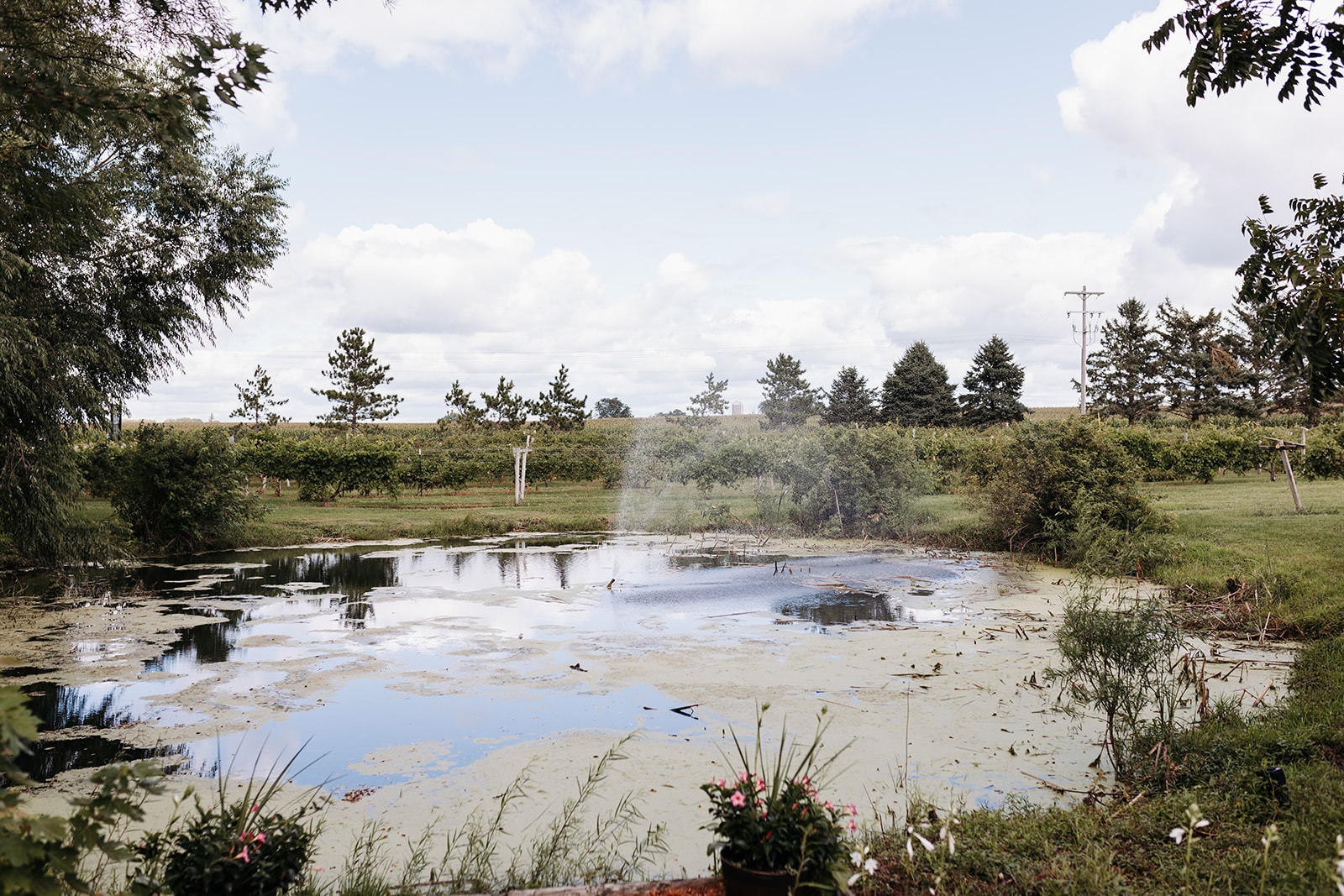 next chapter winery wedding