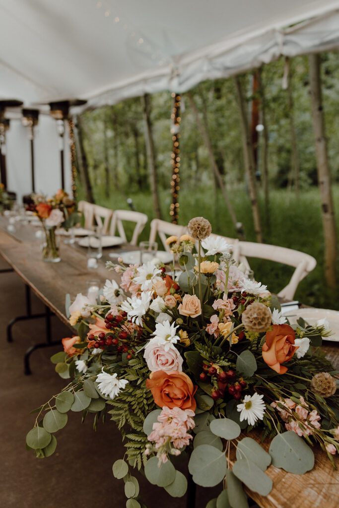 Idaho Springs Wedding Photographer